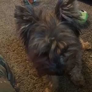 Meet your Posher, Reese